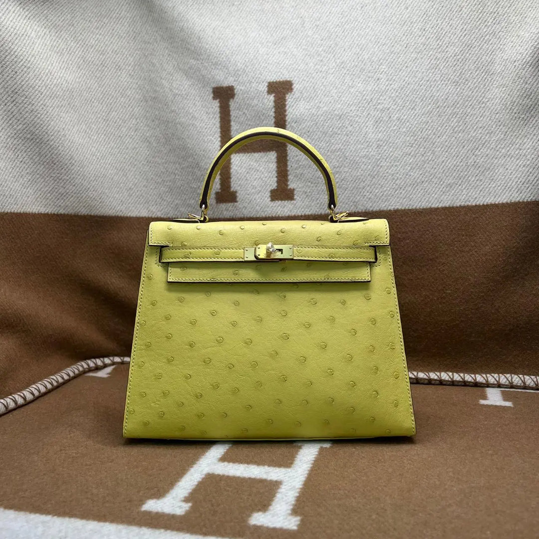 Hermes Ostrich Bag Lilly Onlines
