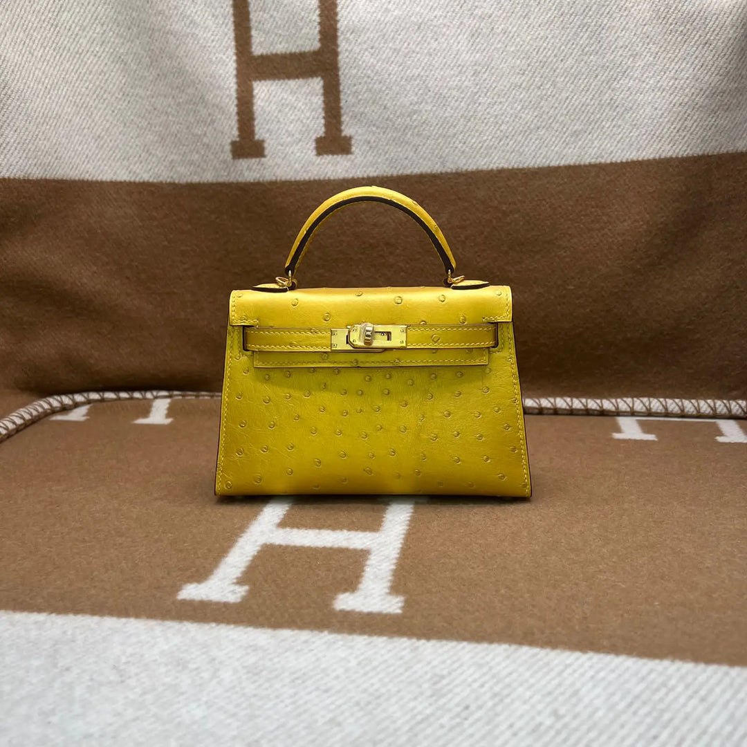 Hermes Ostrich Bag Lilly Onlines
