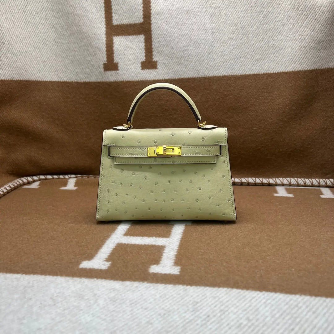 Hermes Ostrich Bag Lilly Onlines