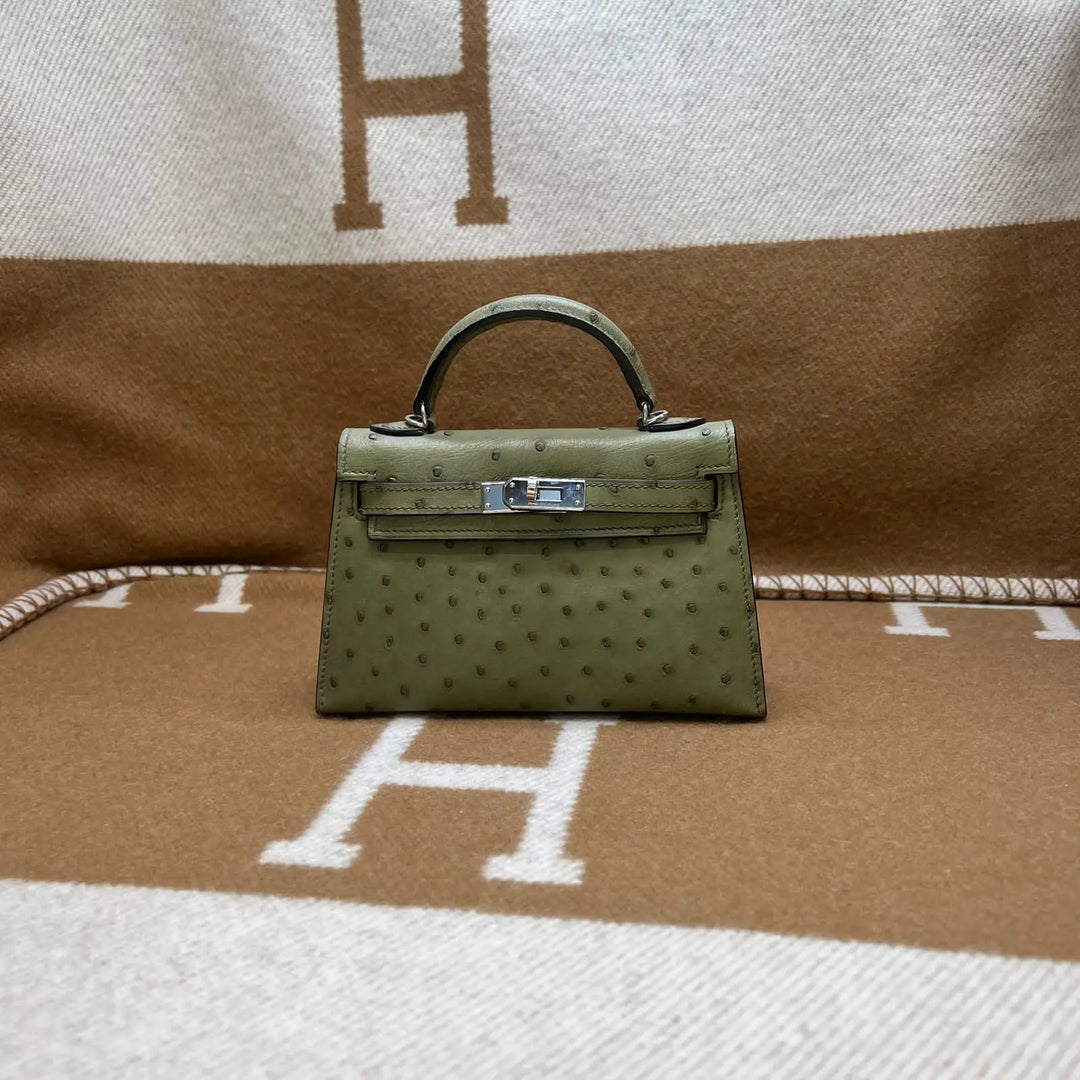 Hermes Ostrich Bag Lilly Onlines