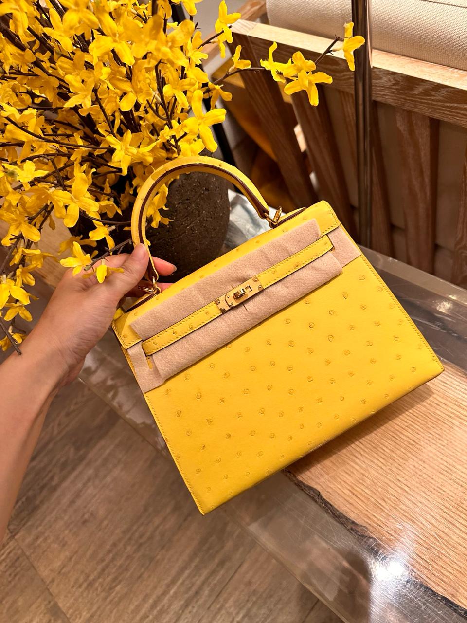 Ladies Hermes bags Lilly Onlines