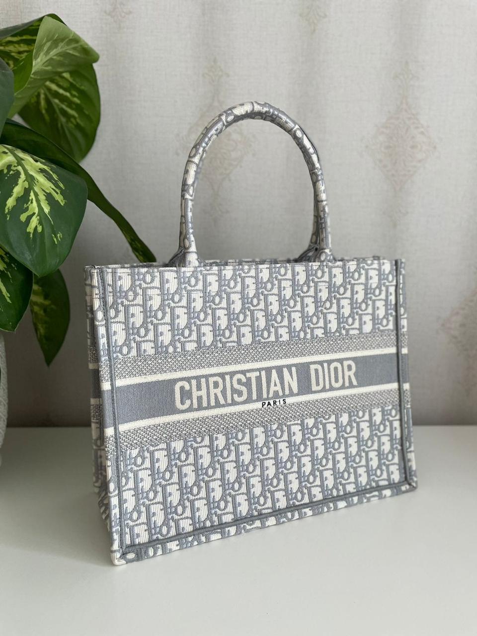 Ladies Dior bags Lilly Onlines