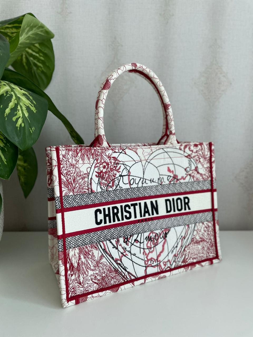 Ladies Dior bags Lilly Onlines