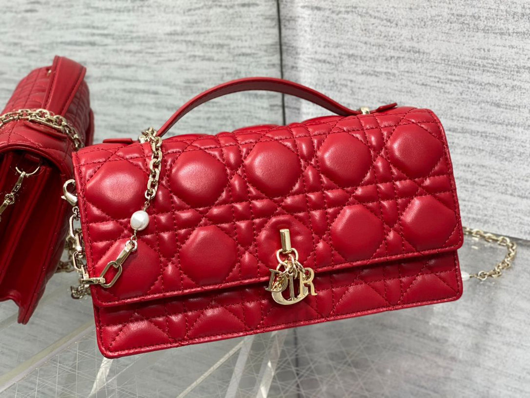 Ladies Dior bags Lilly Onlines