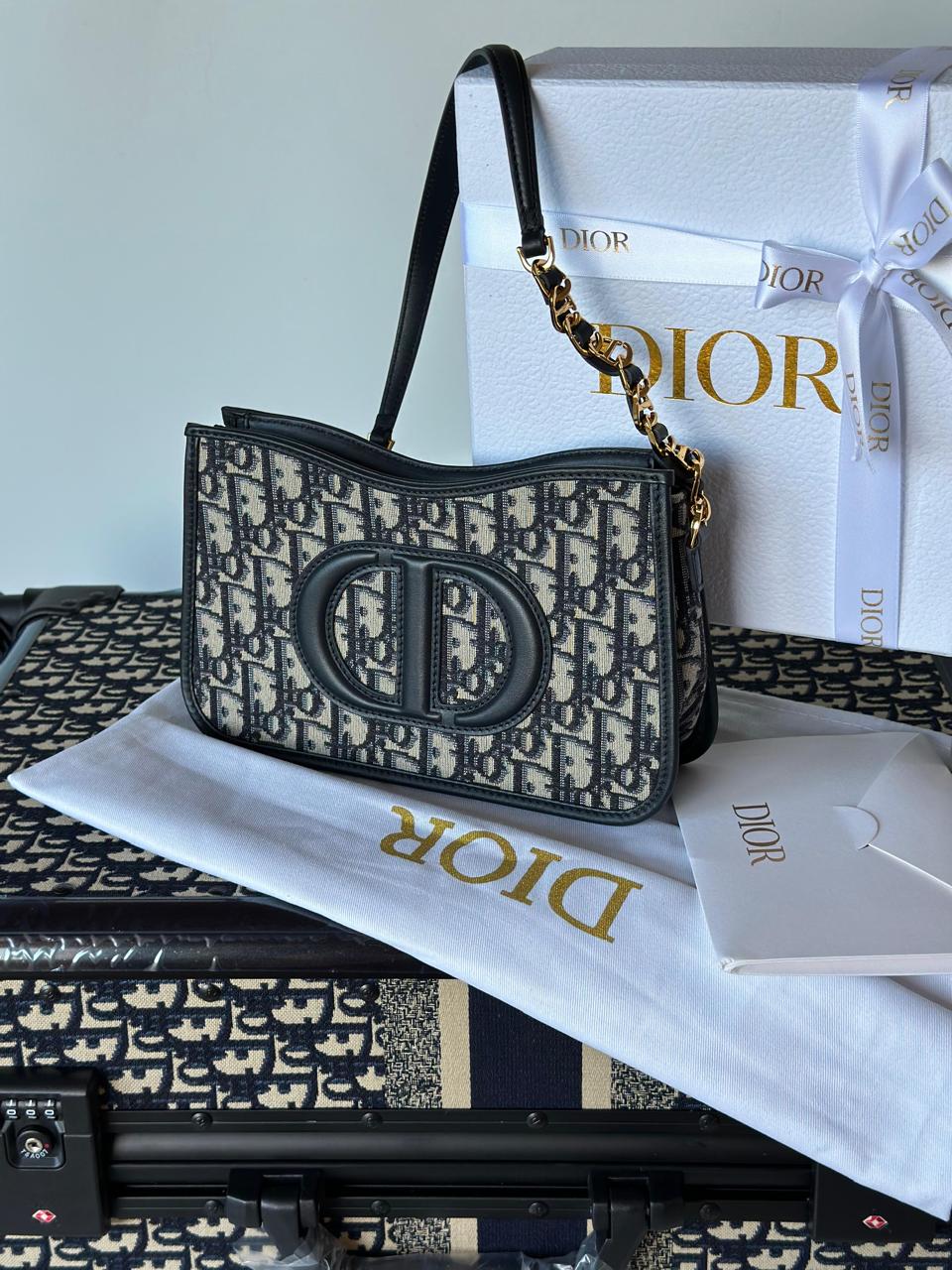 Ladies dior bags Lilly Onlines
