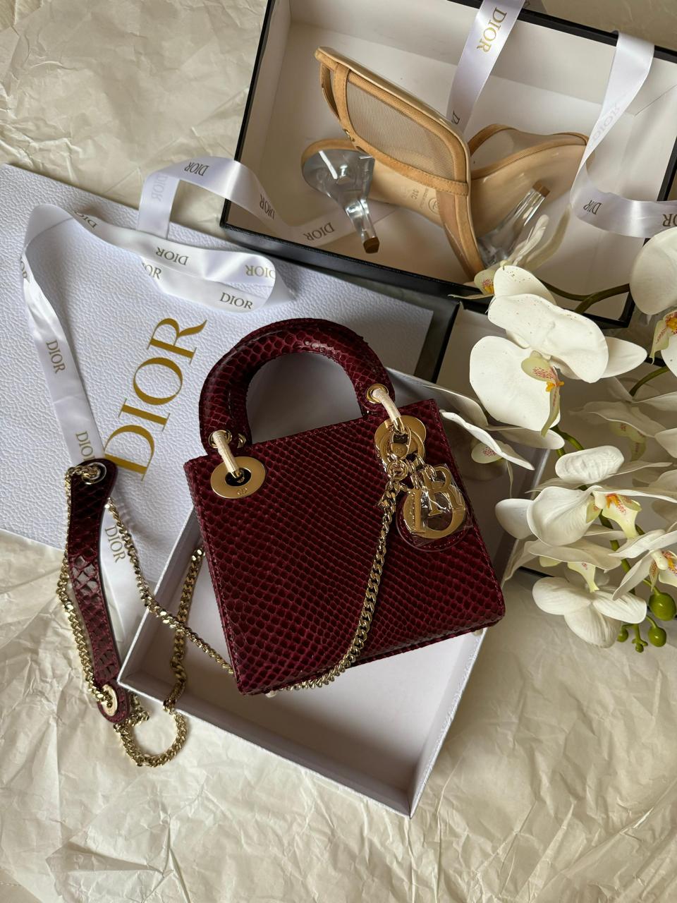 Ladies dior bags Lilly Onlines