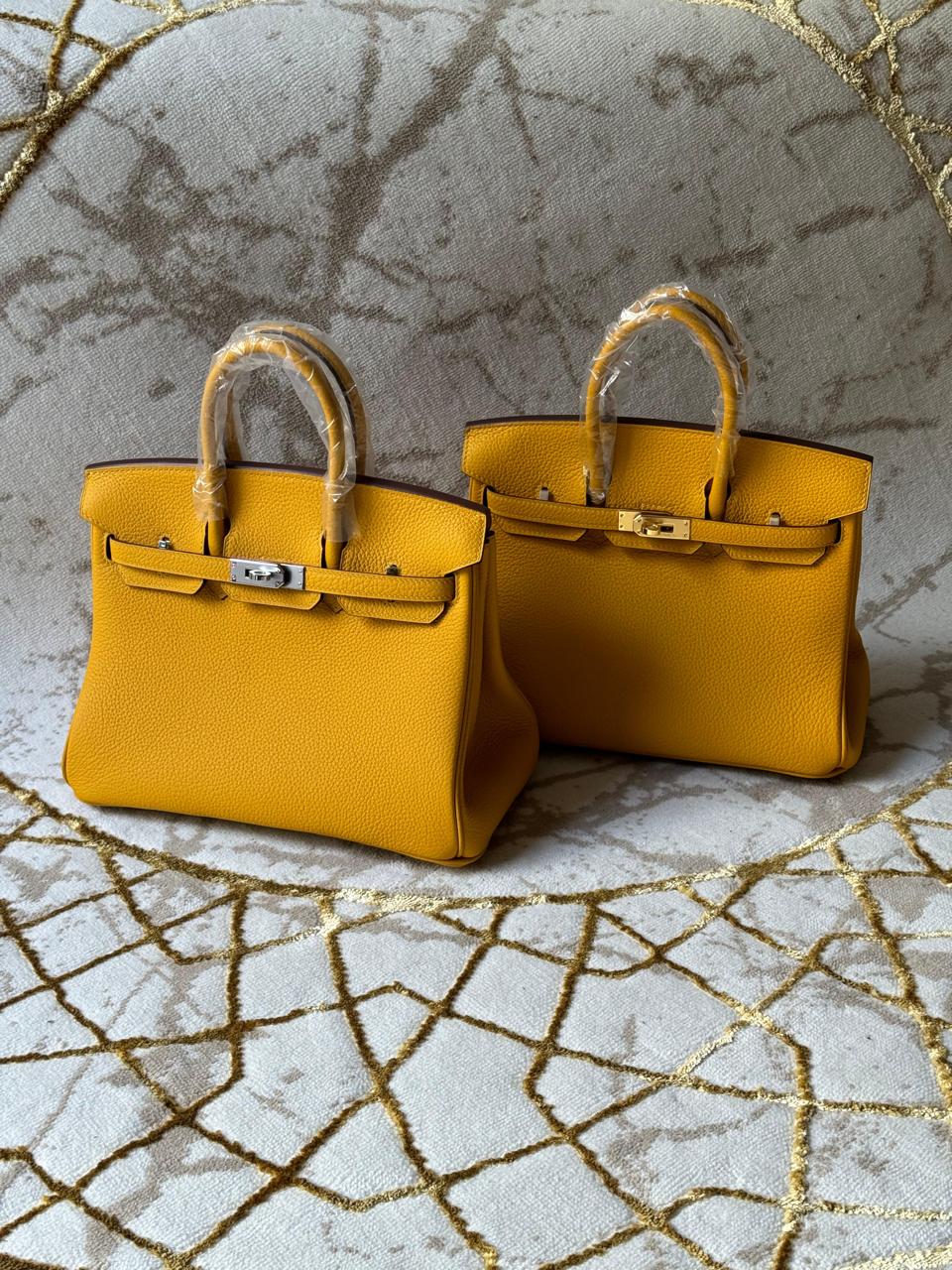 Hermes birkin bags Lilly Onlines