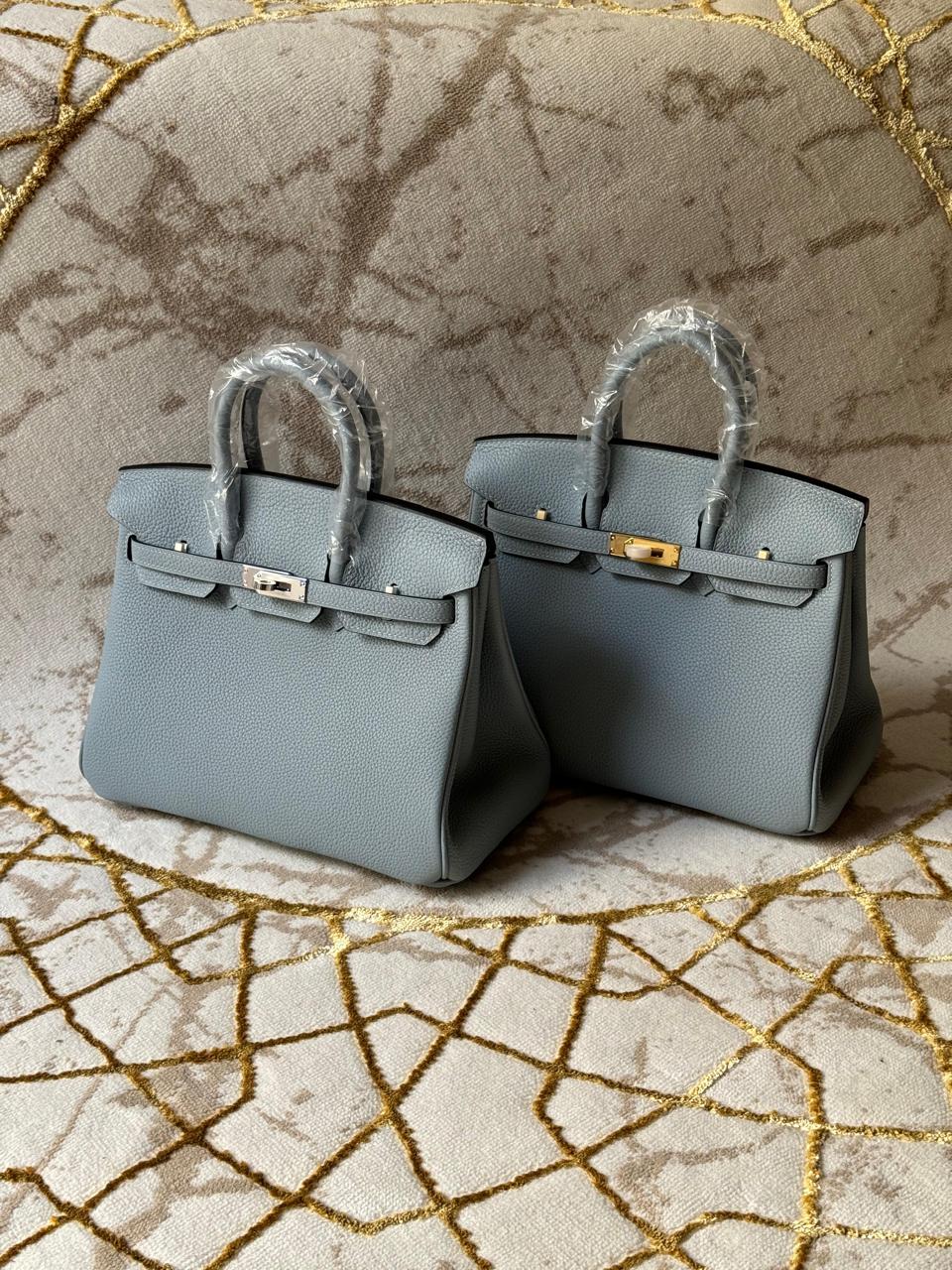 Hermes birkin bags Lilly Onlines