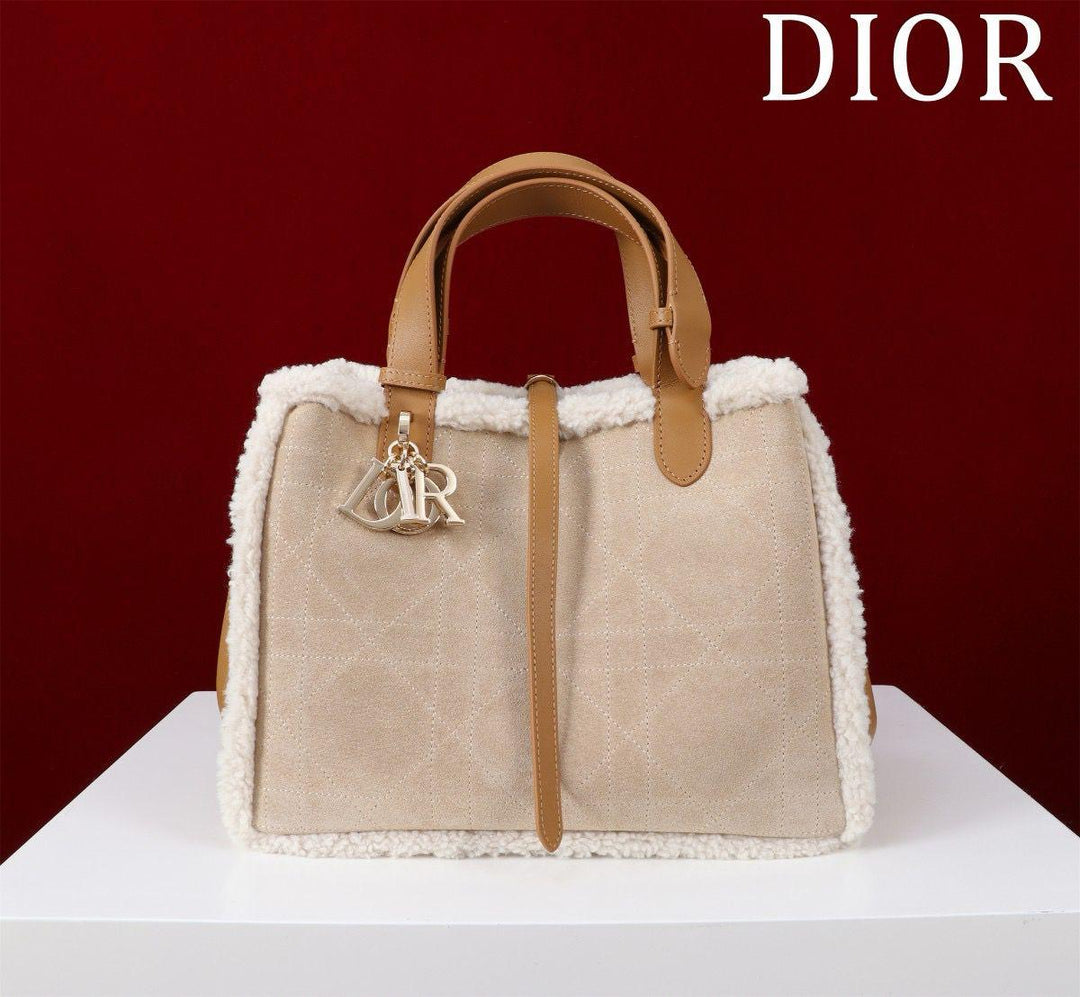 Ladies Dior bags Lilly Onlines