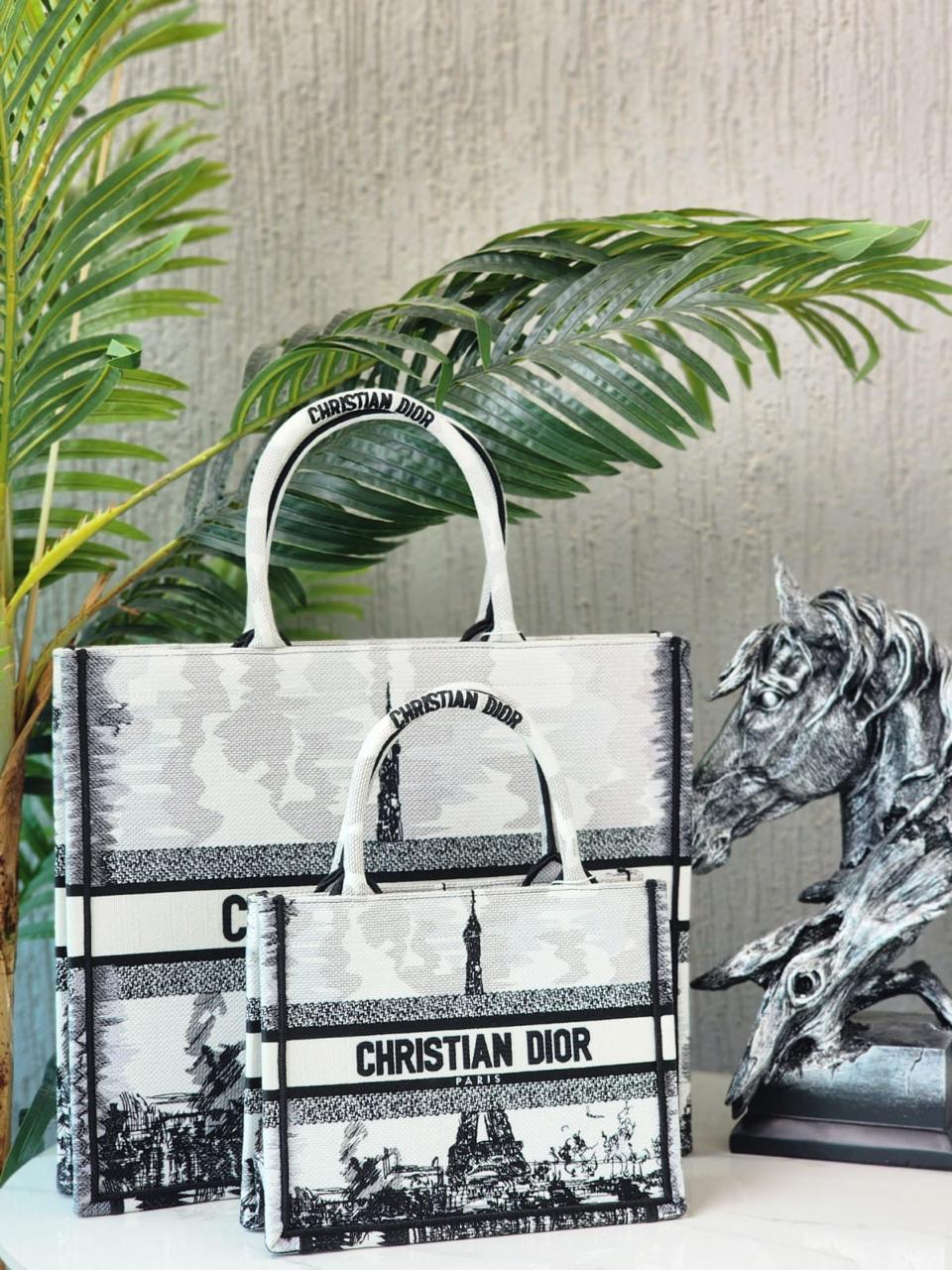 Ladies Dior bags Lilly Onlines