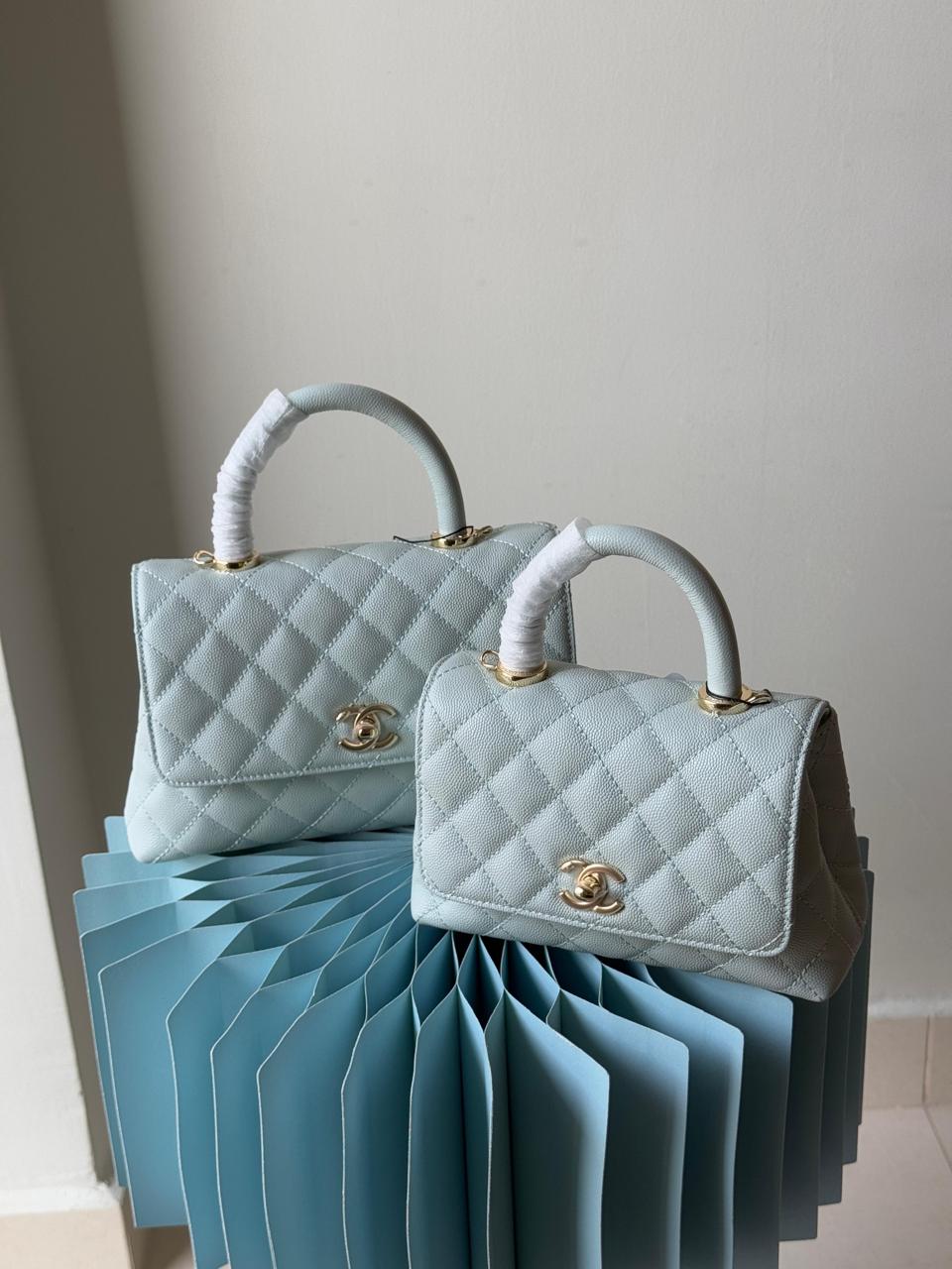Ladies Chanel bags Lilly Onlines