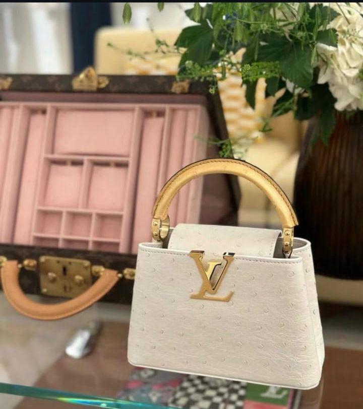 Ladies Lv bags Lilly Onlines