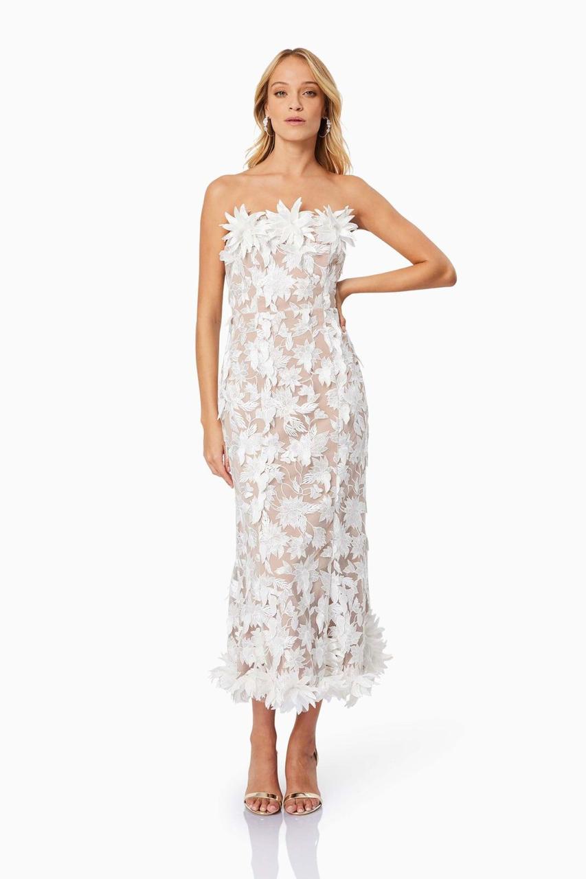 Ladies dresses Lilly Onlines
