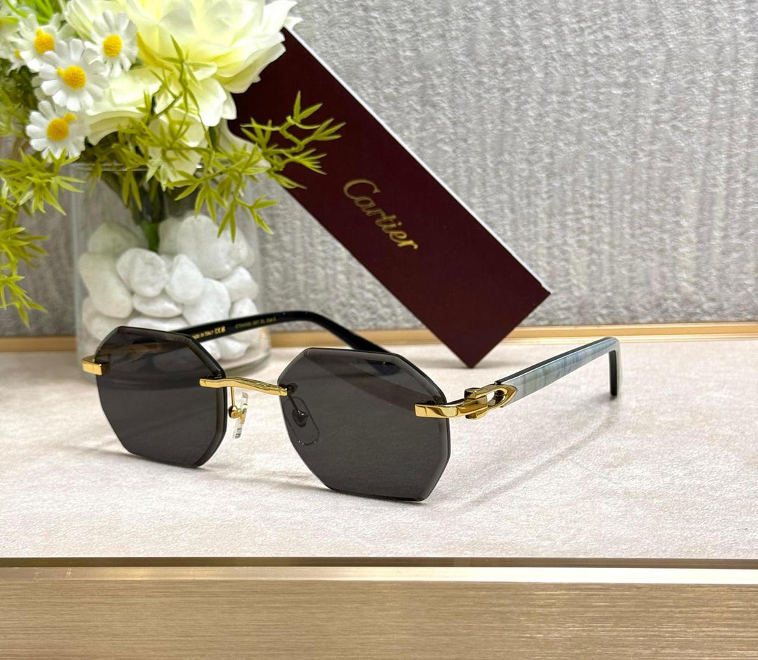 Men sunglasses Lilly Onlines