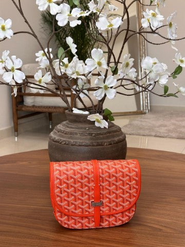 Ladies goyard bags Lilly Onlines