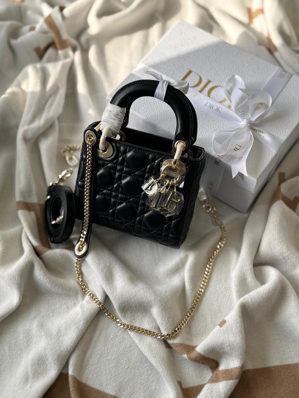 Ladies Dior bags Lilly Onlines