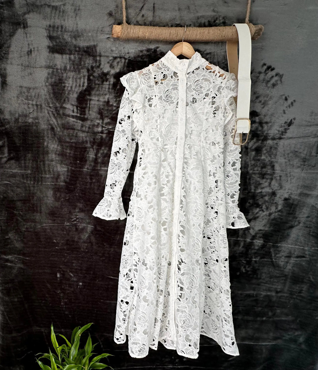 Ladies dresses Lilly Onlines