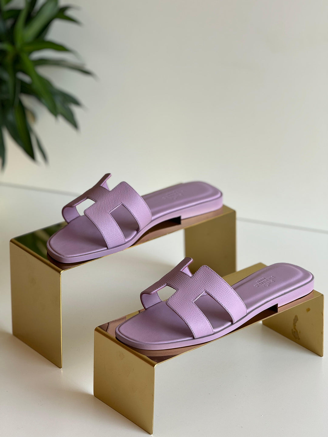 Ladies flats Lilly Onlines