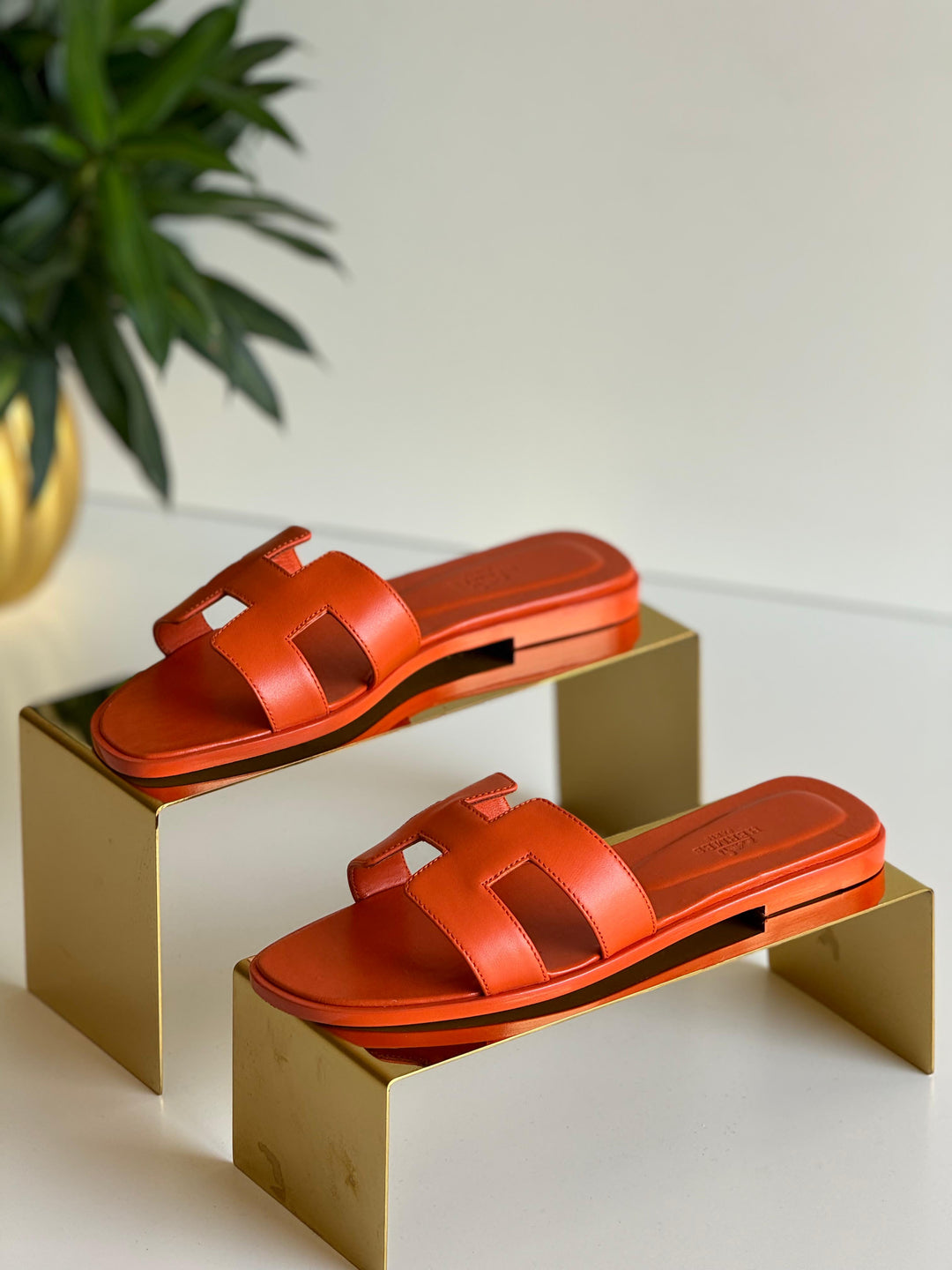 Ladies flats Lilly Onlines