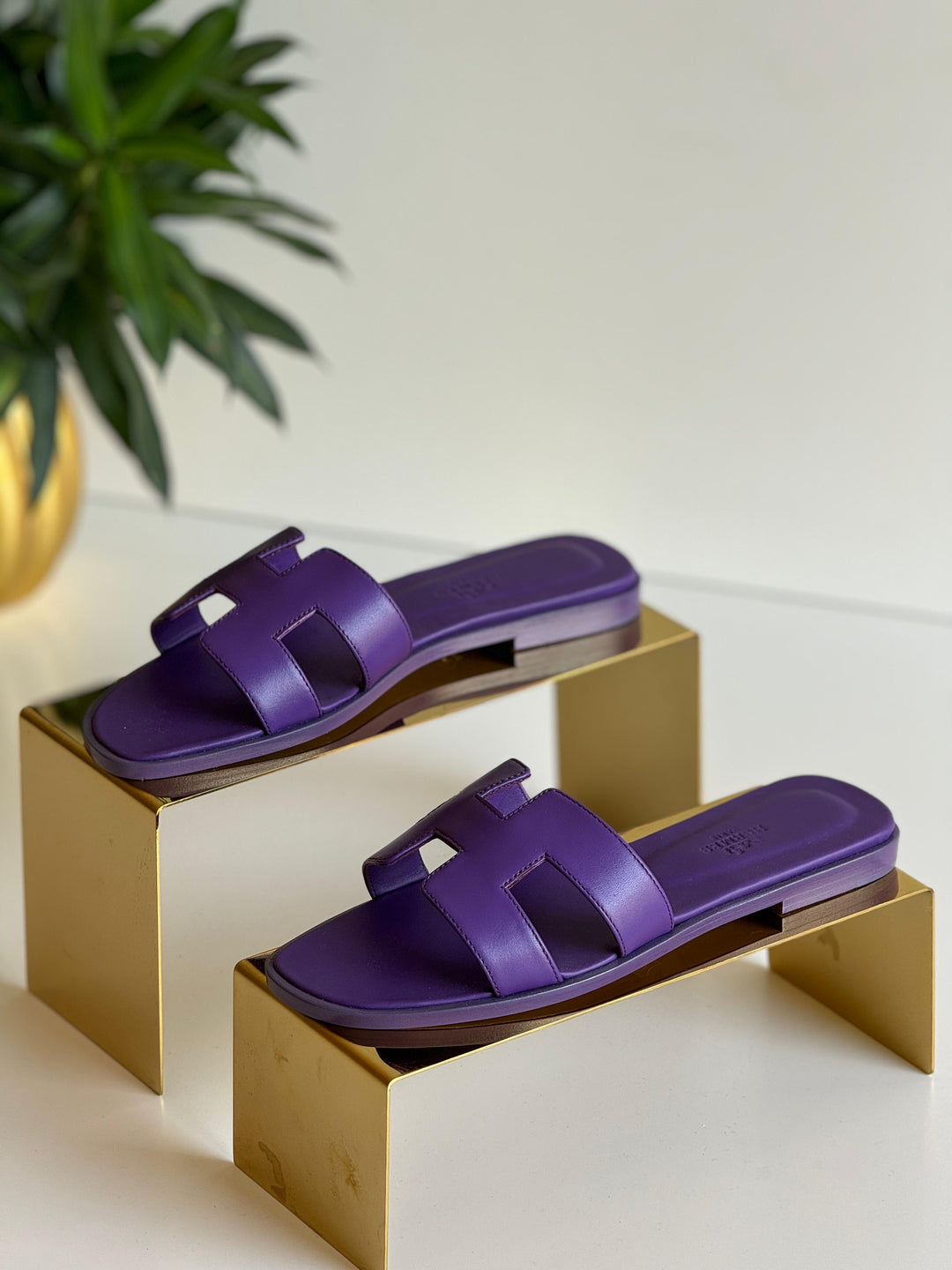 Ladies flats Lilly Onlines