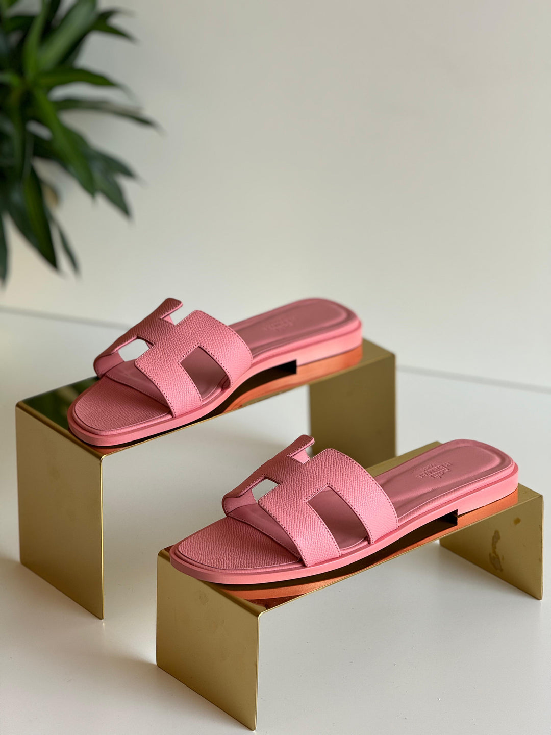 Ladies flats Lilly Onlines