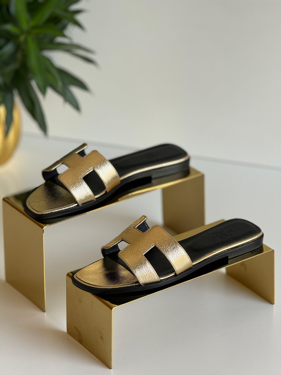 Ladies flats Lilly Onlines