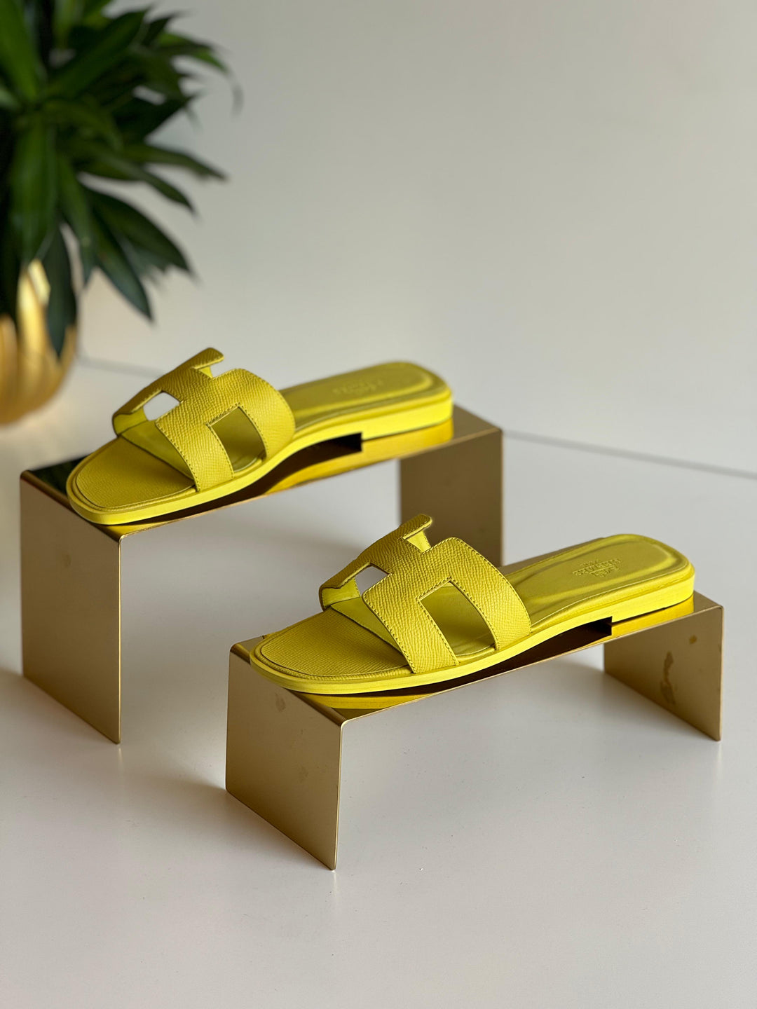Ladies flats Lilly Onlines