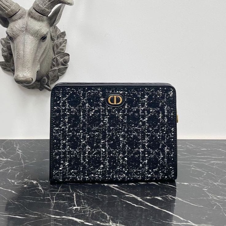 Ladies  Dior bags Lilly Onlines