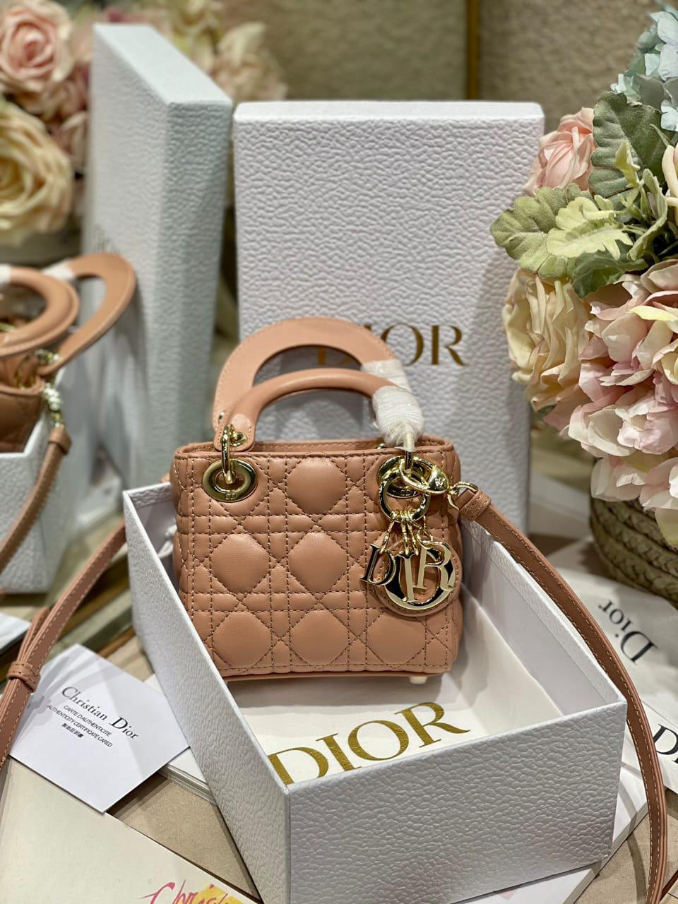 Ladies  Dior bags Lilly Onlines