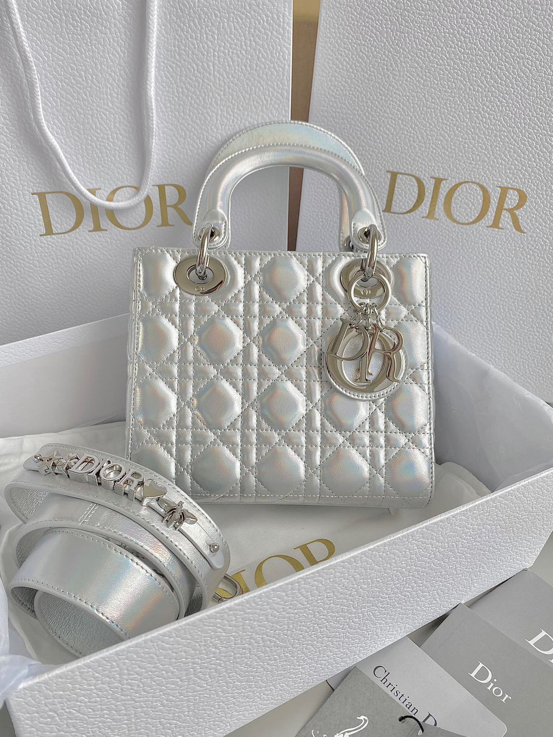 Ladies  Dior bags Lilly Onlines