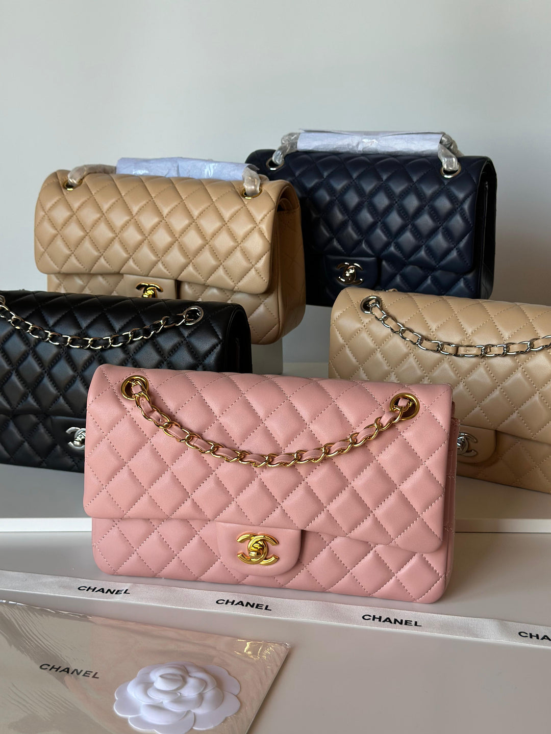 Ladies Chanel bags Lilly Onlines
