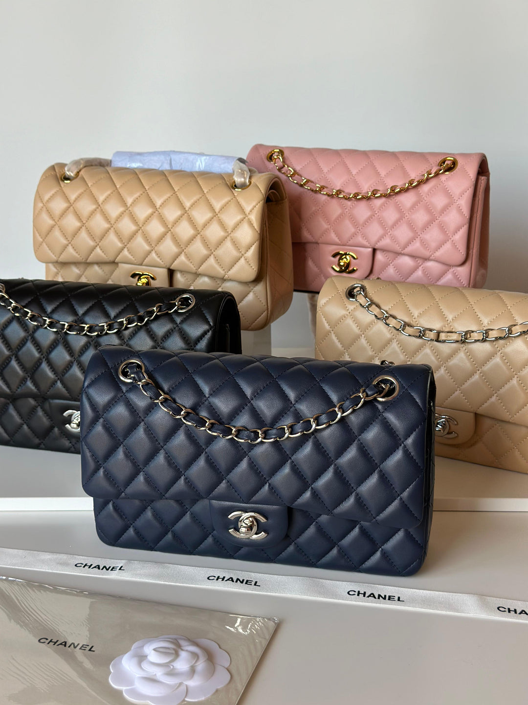 Ladies Chanel bags Lilly Onlines