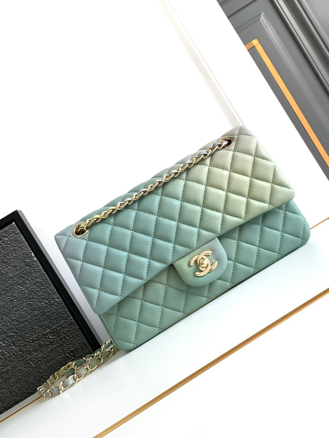 Ladies Chanel bags Lilly Onlines