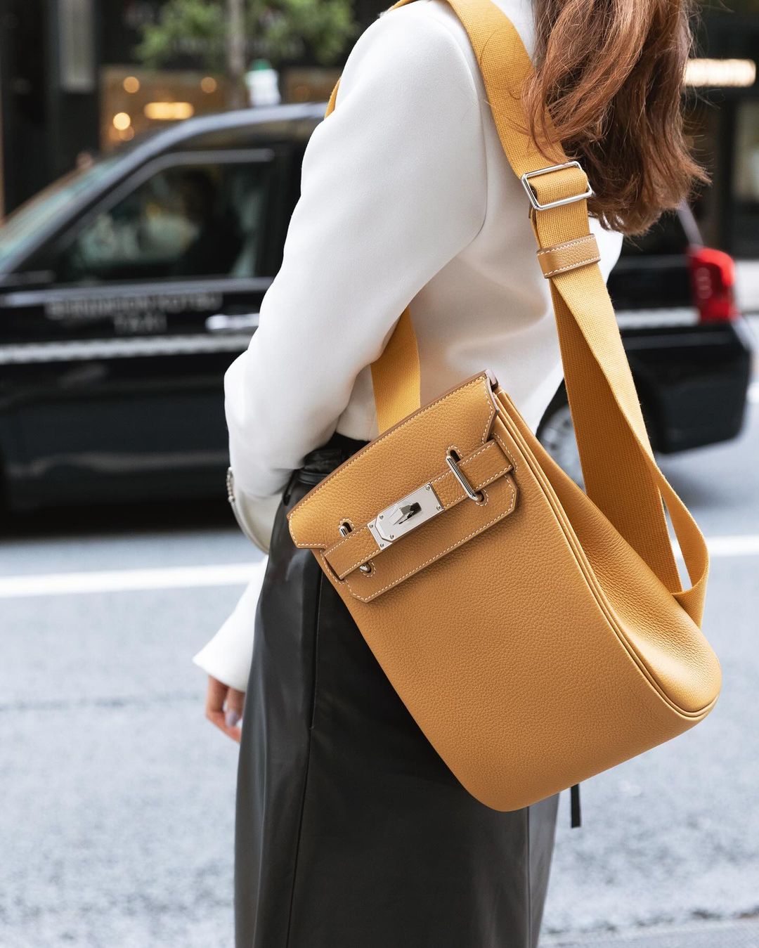 Ladies Hermes bags Lilly Onlines