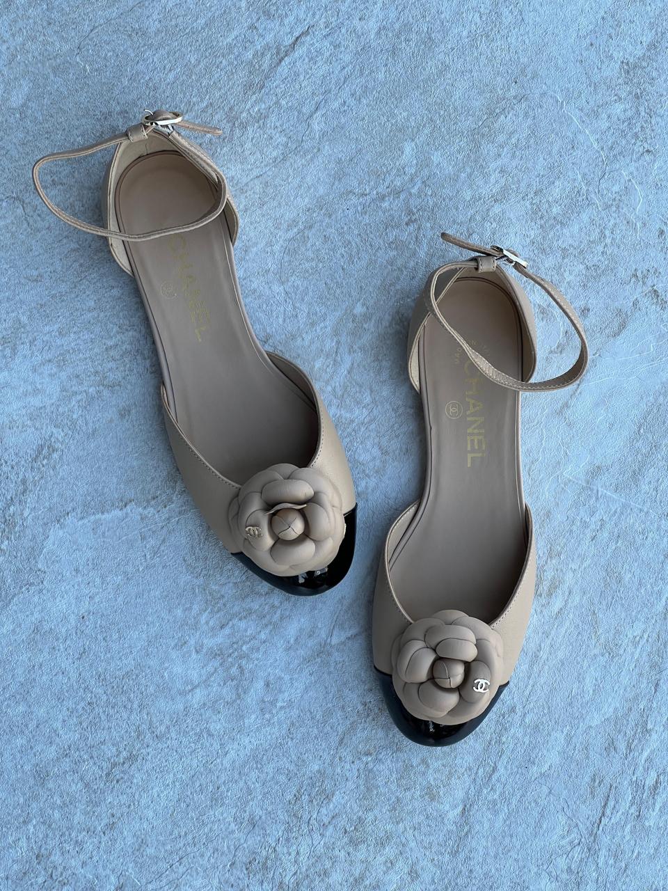 Ladies flats Lilly Onlines
