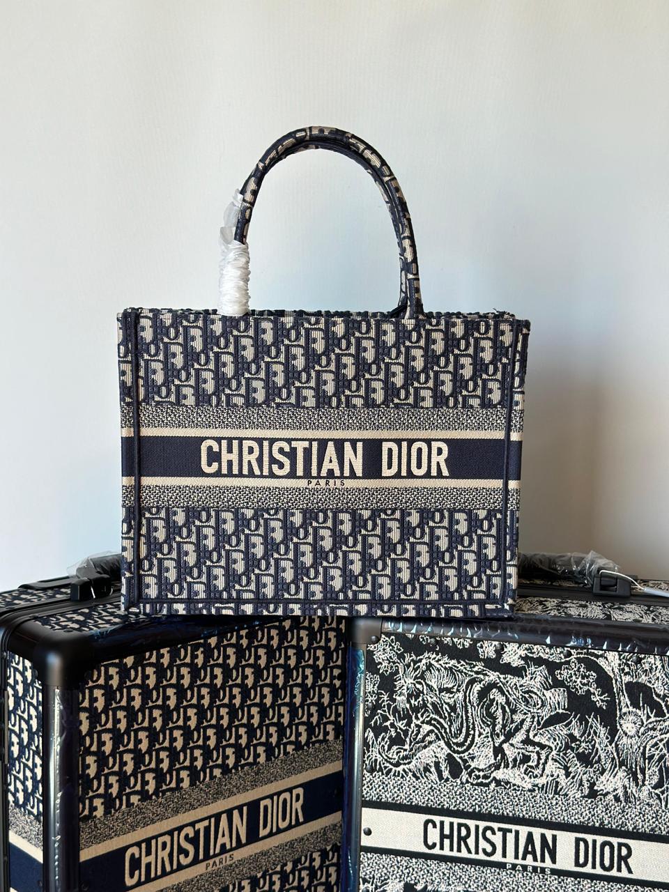 Ladies dior bags Lilly Onlines