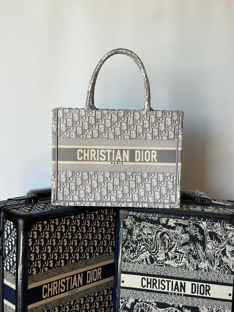 Ladies dior bags Lilly Onlines