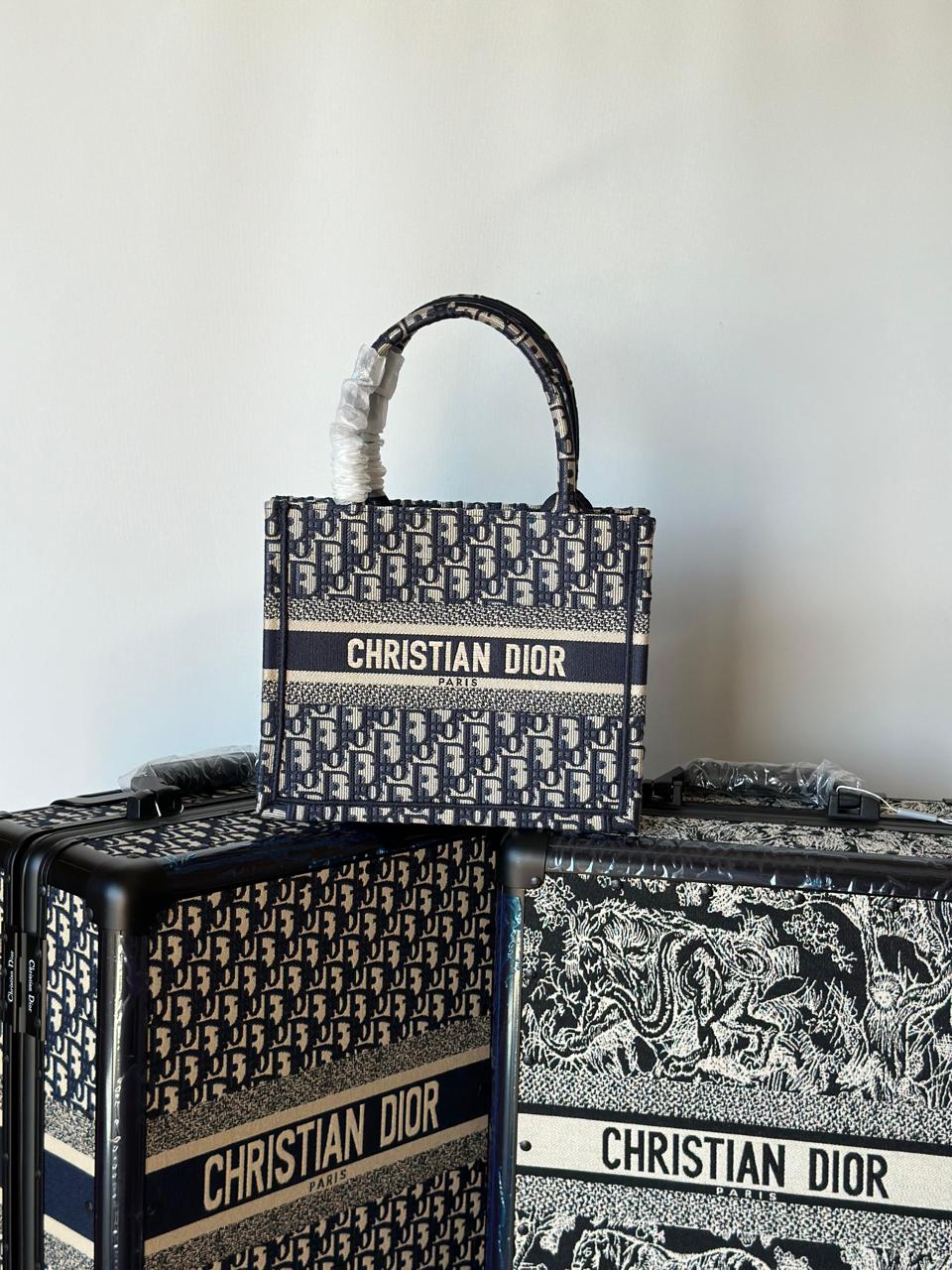 Ladies dior bags Lilly Onlines