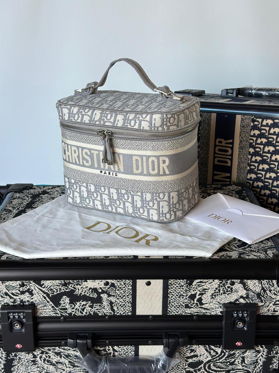 Ladies dior bags Lilly Onlines