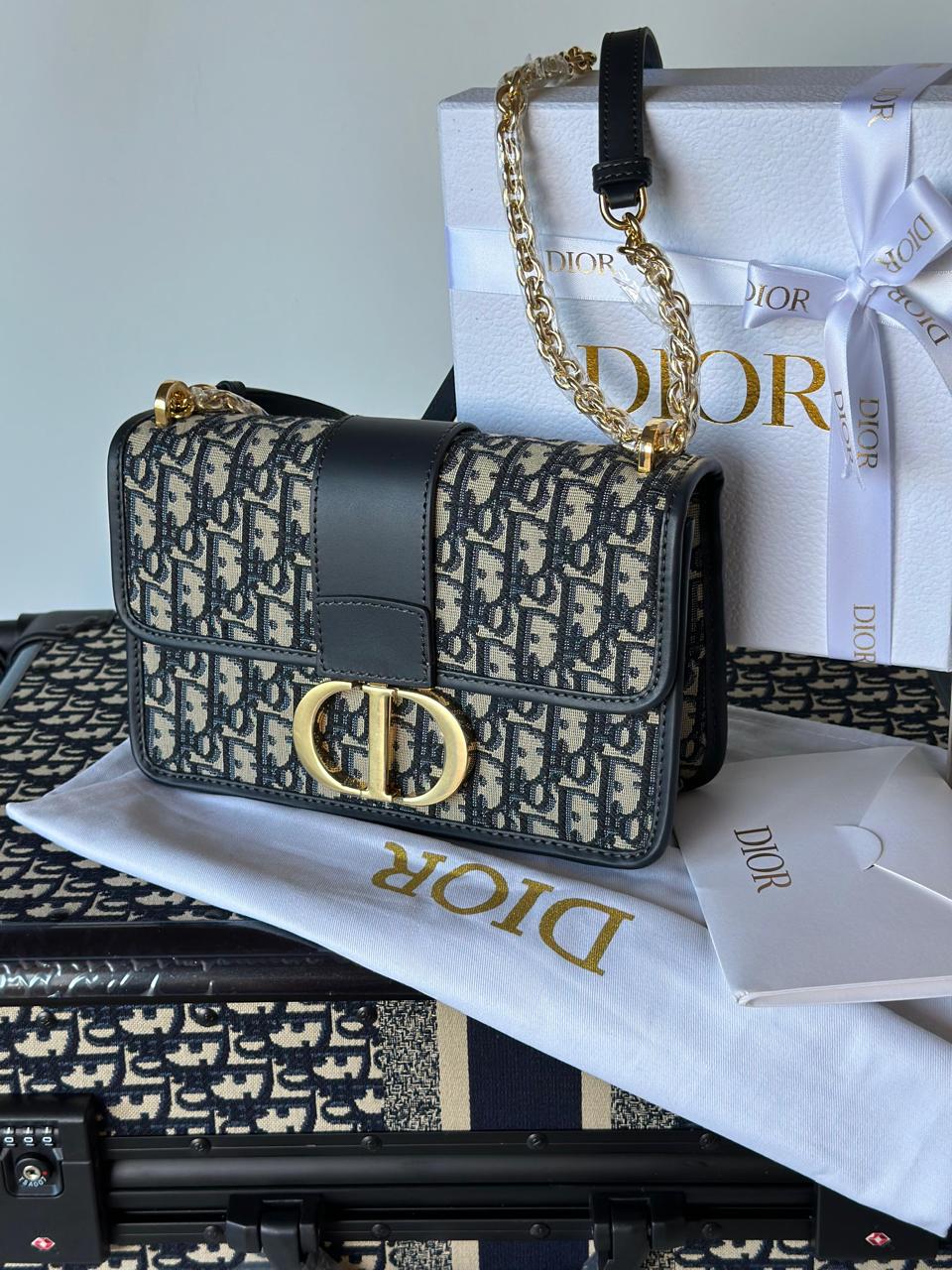 Ladies dior bags Lilly Onlines