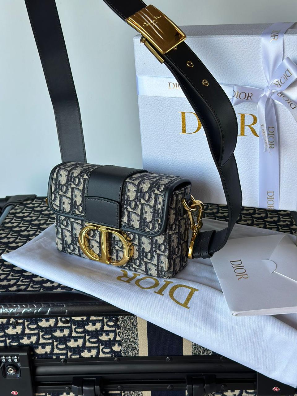 Ladies dior bags Lilly Onlines