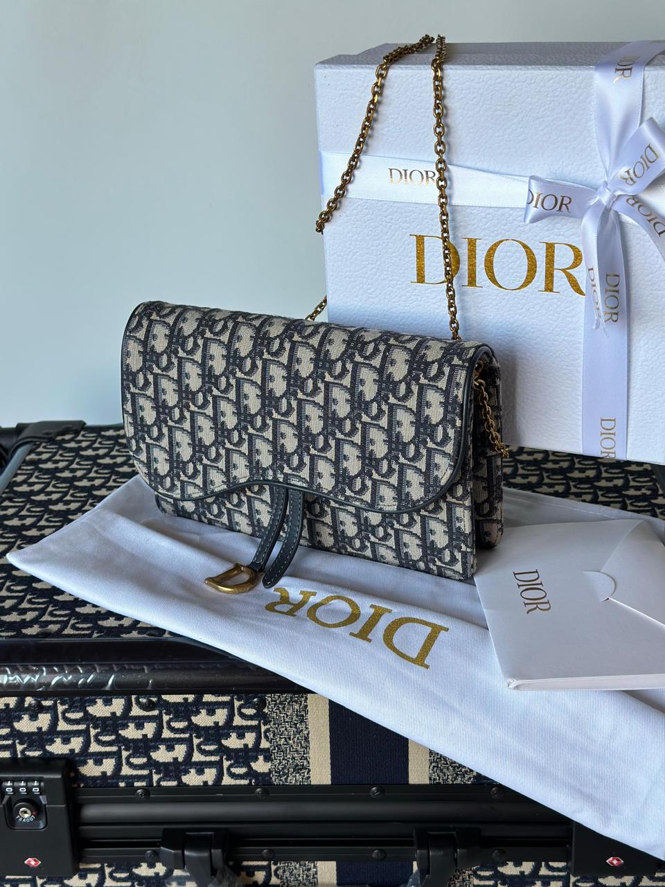Ladies dior bags Lilly Onlines