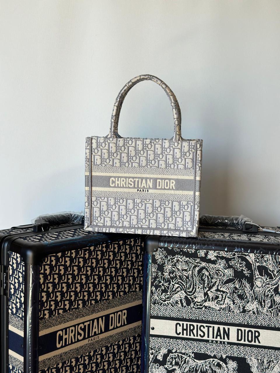 Ladies dior bags Lilly Onlines