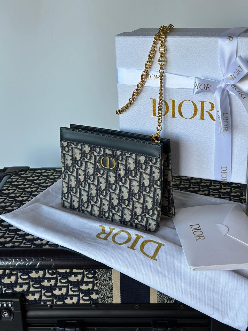 Ladies dior bags Lilly Onlines