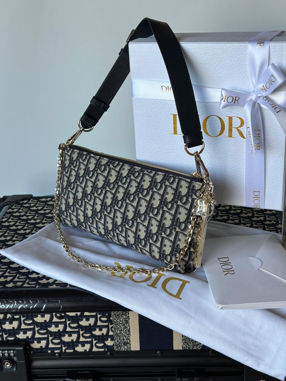 Ladies dior bags Lilly Onlines