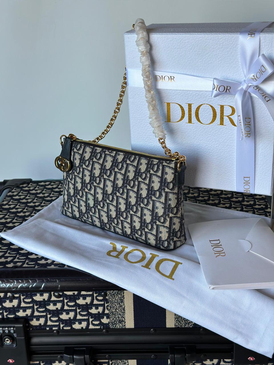 Ladies dior bags Lilly Onlines