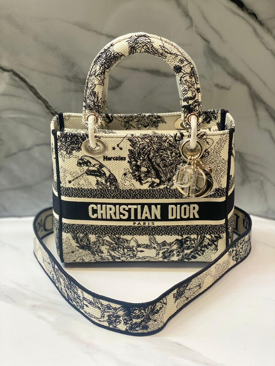 Ladies dior bags Lilly Onlines
