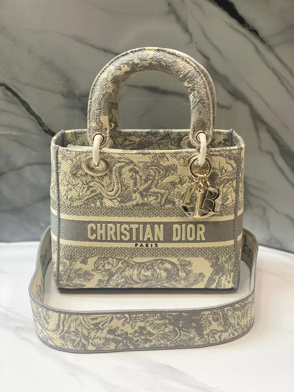 Ladies dior bags Lilly Onlines