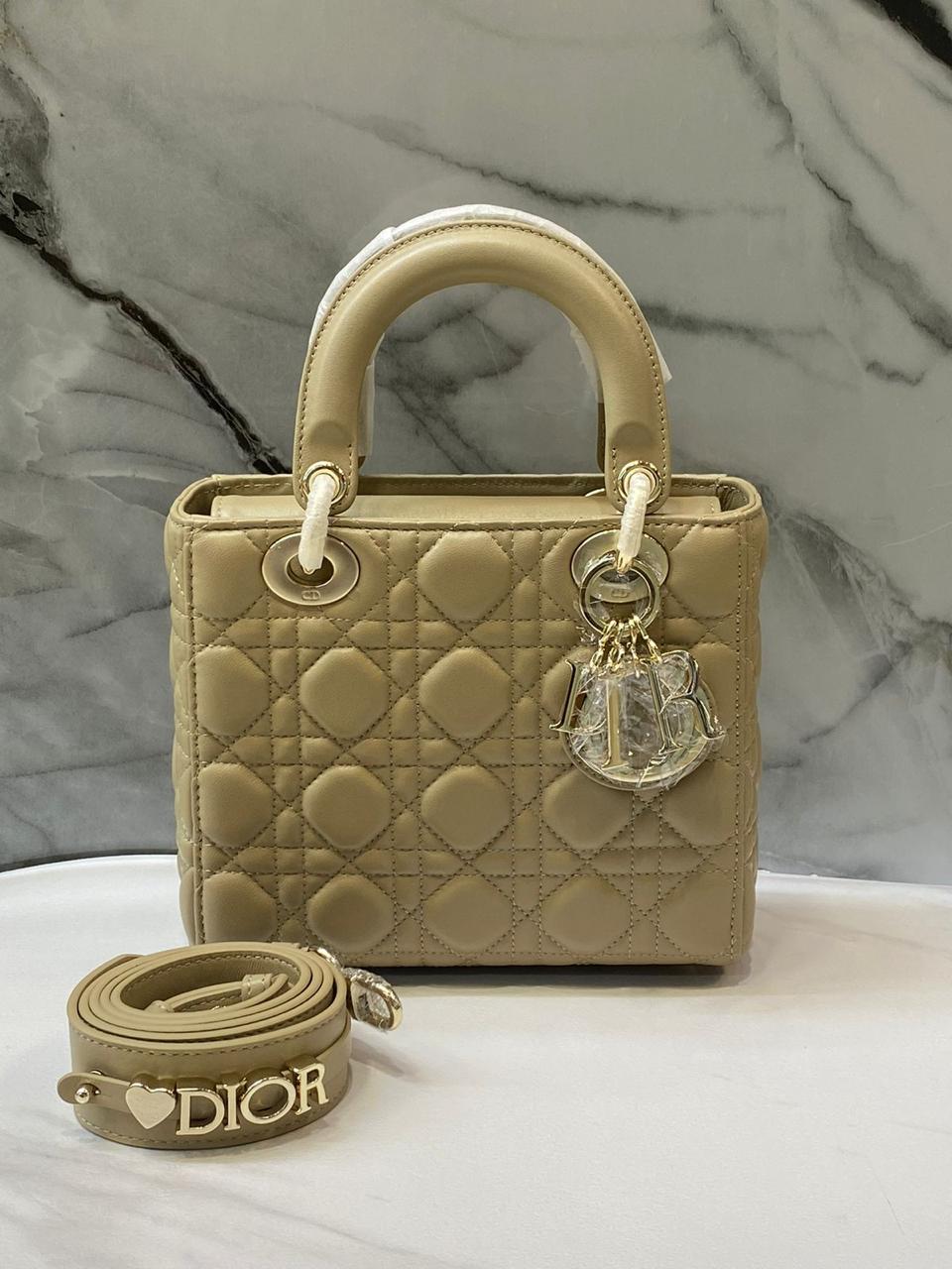 Ladies dior bags Lilly Onlines