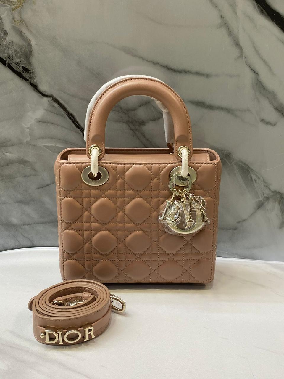Ladies dior bags Lilly Onlines